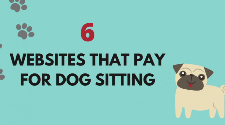 Get Paid for Dog Sitting 6 Websites that Pay
